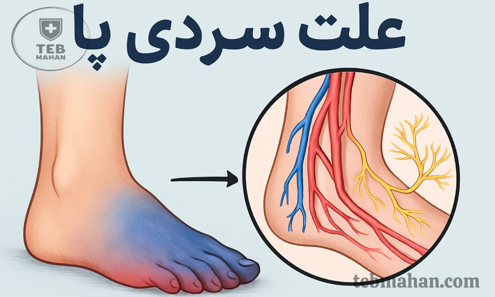 علت سردی پاها از زانو به پایین