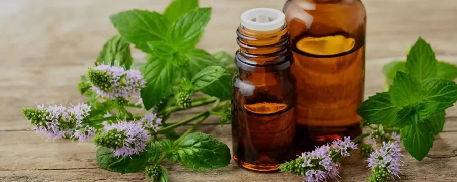 روغن اسطوخودوس