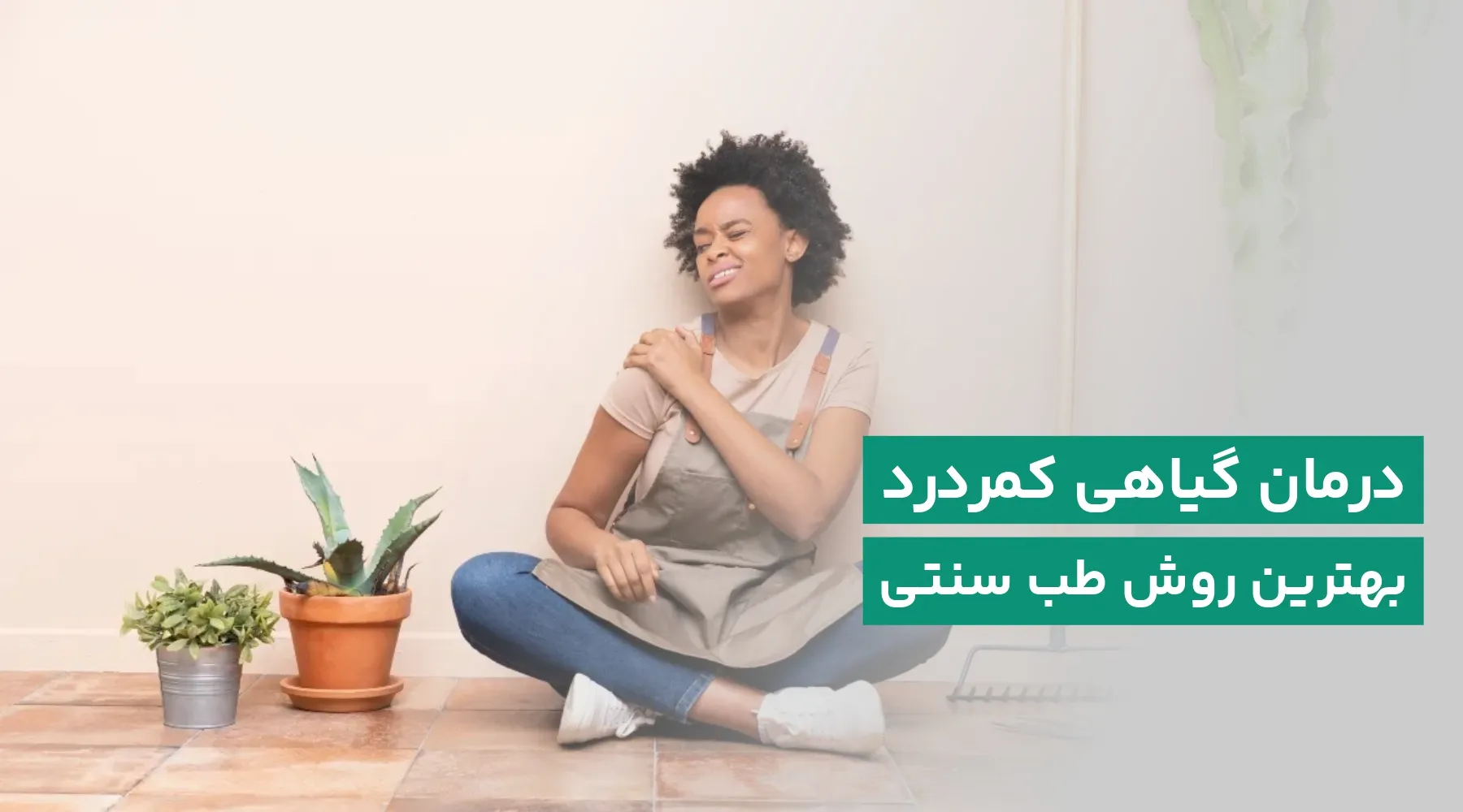 درمان گیاهی کمردرد