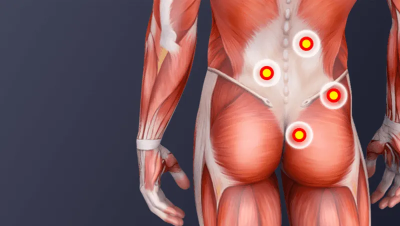 عکس از پایین کمر و دنبالچه